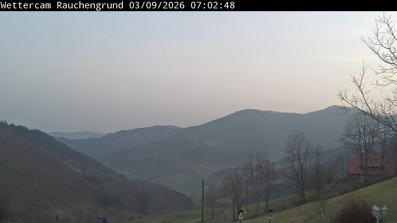 Archiv Foto Webcam Elzach