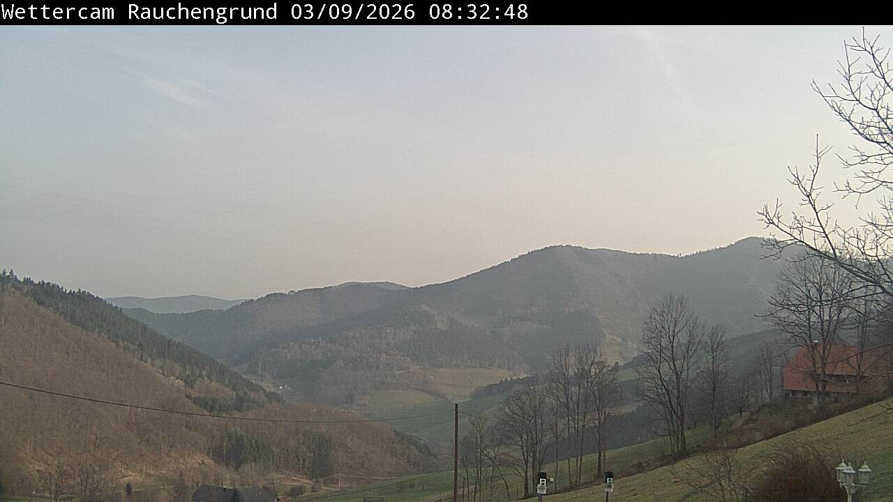 Archiv Foto Webcam Elzach
