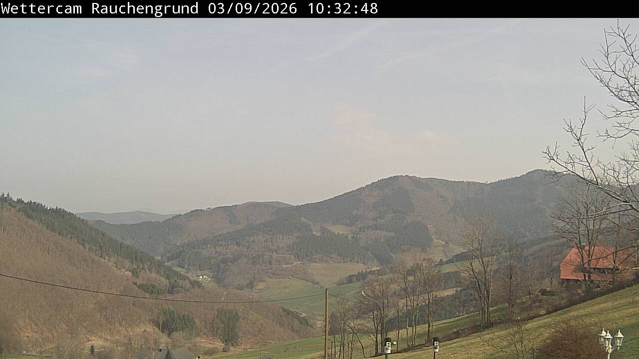 Archiv Foto Webcam Elzach