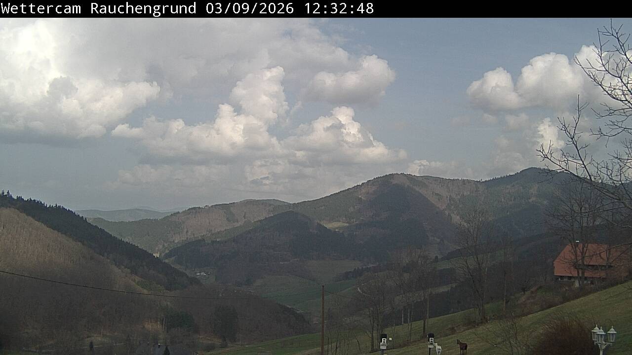 Archiv Foto Webcam Elzach