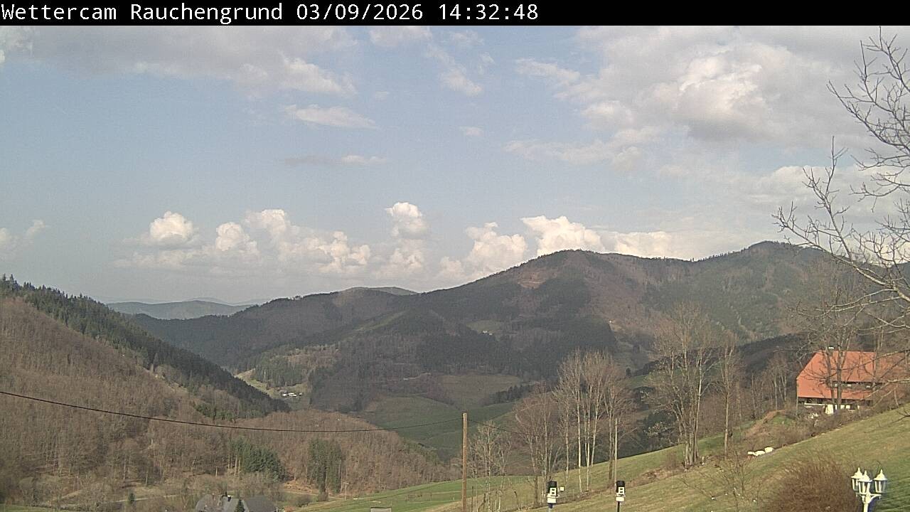 Archiv Foto Webcam Elzach