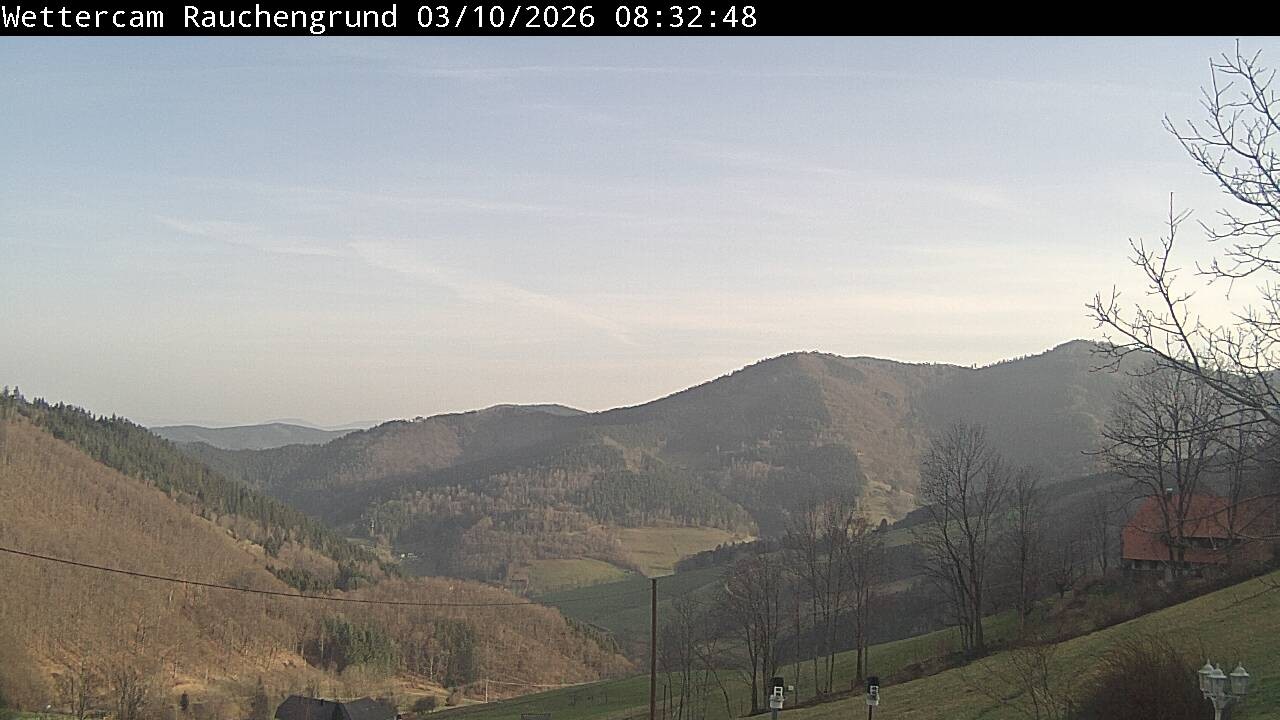 Archiv Foto Webcam Elzach