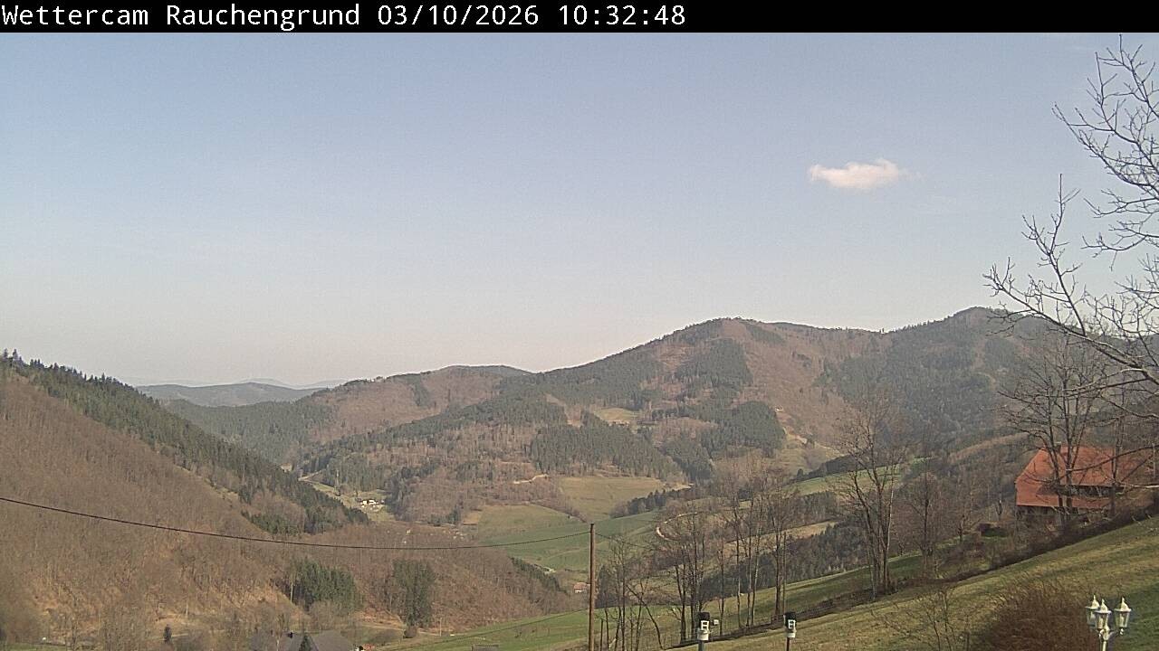 Archiv Foto Webcam Elzach