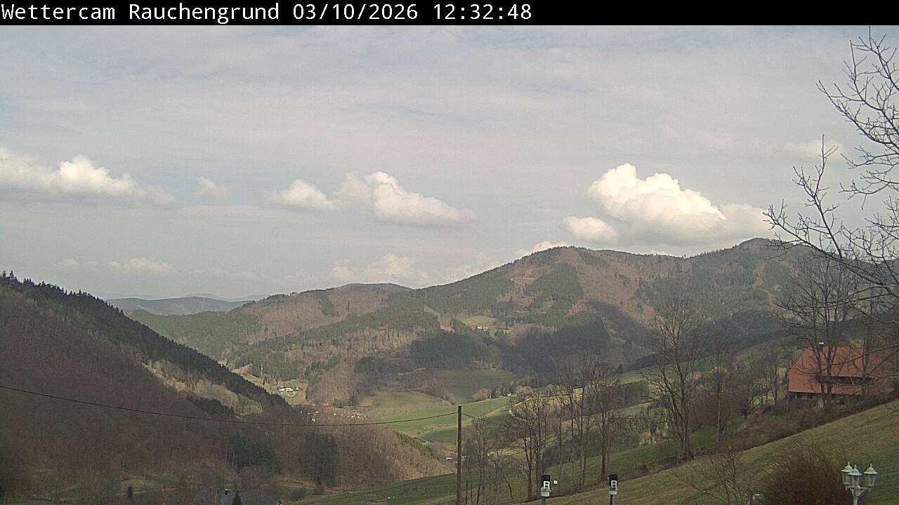 Archiv Foto Webcam Elzach