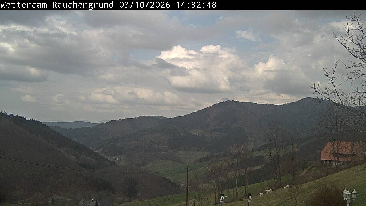 Archiv Foto Webcam Elzach