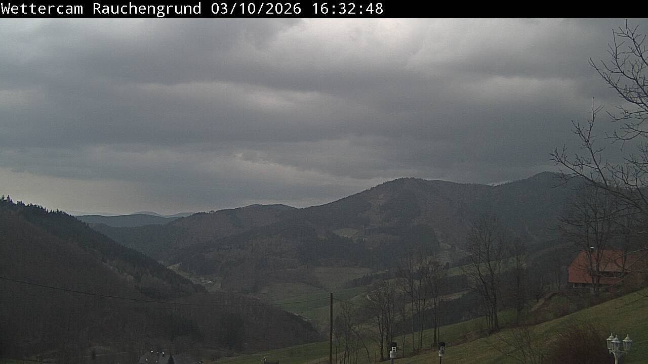 Archiv Foto Webcam Elzach
