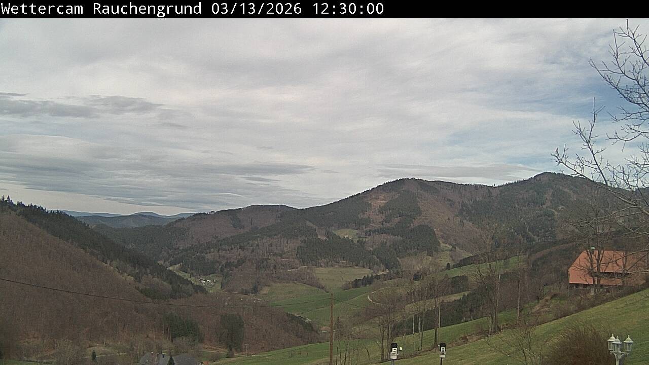 Archived image Webcam "Rauchengrund"