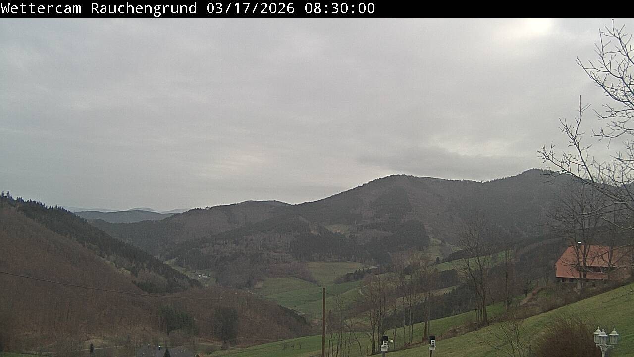 Archiv Foto Webcam Elzach