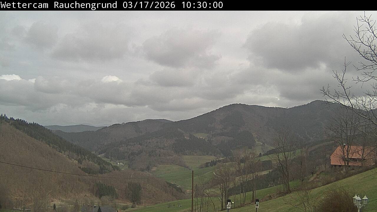 Archiv Foto Webcam Elzach