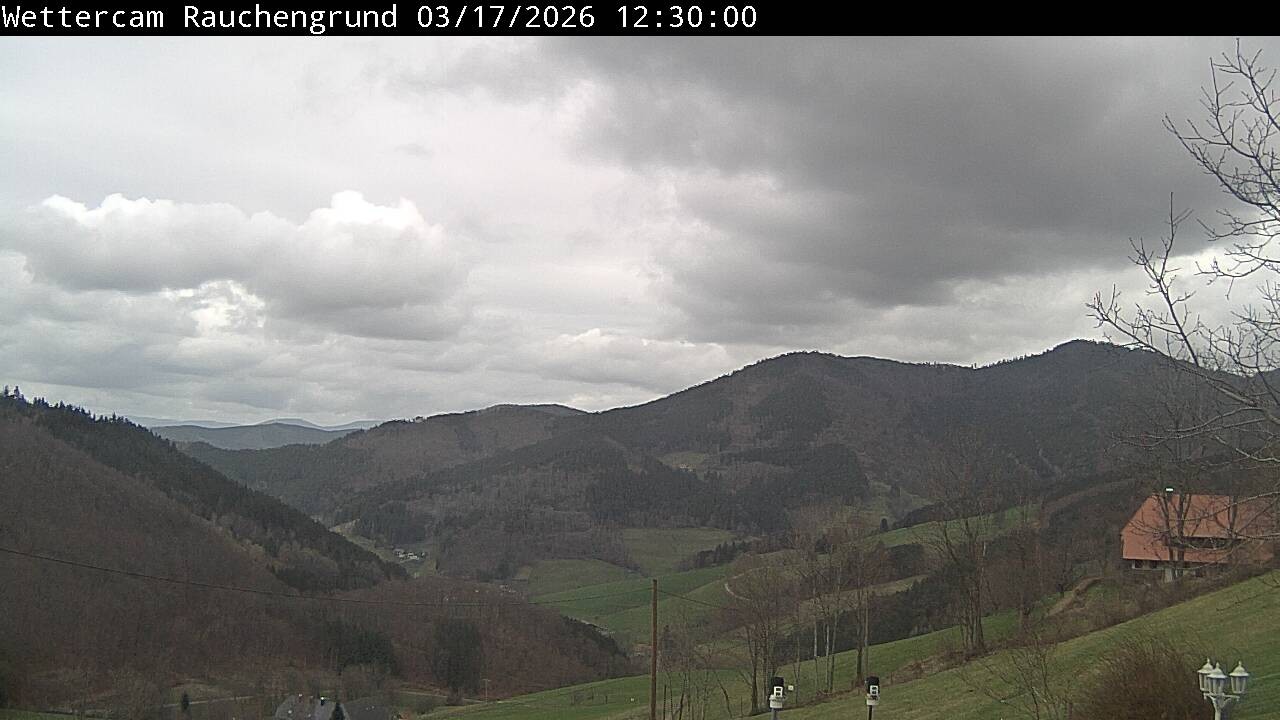 Archiv Foto Webcam Elzach