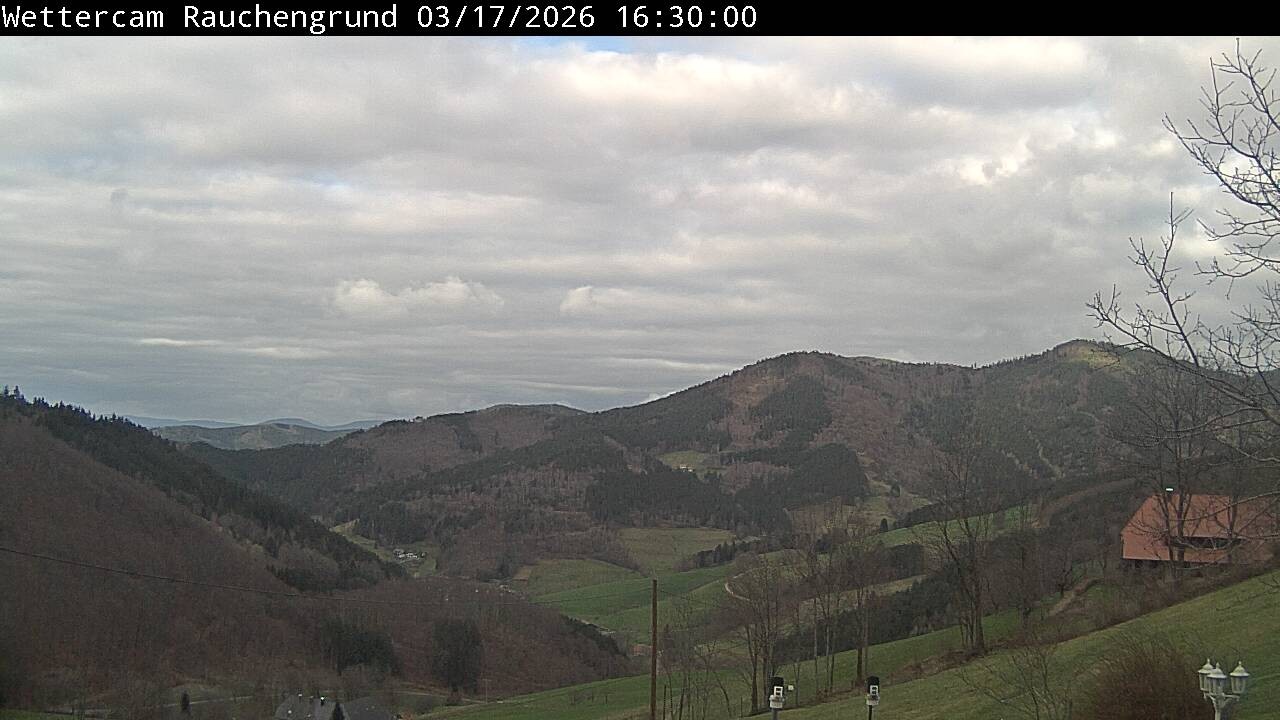 Archiv Foto Webcam Elzach