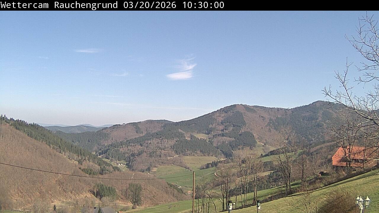 Archiv Foto Webcam Elzach