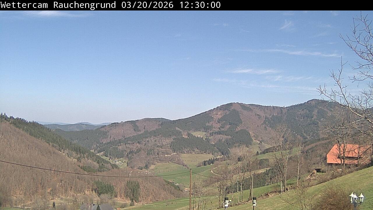 Archiv Foto Webcam Elzach