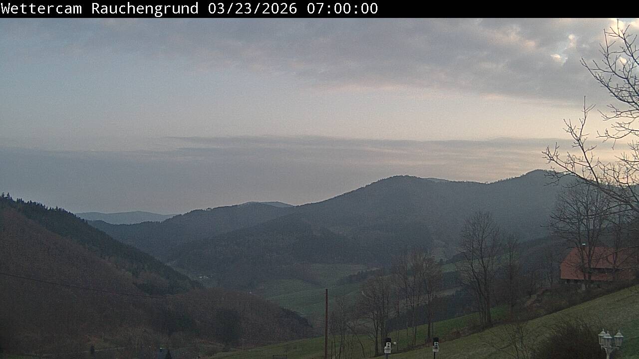 Archiv Foto Webcam Elzach