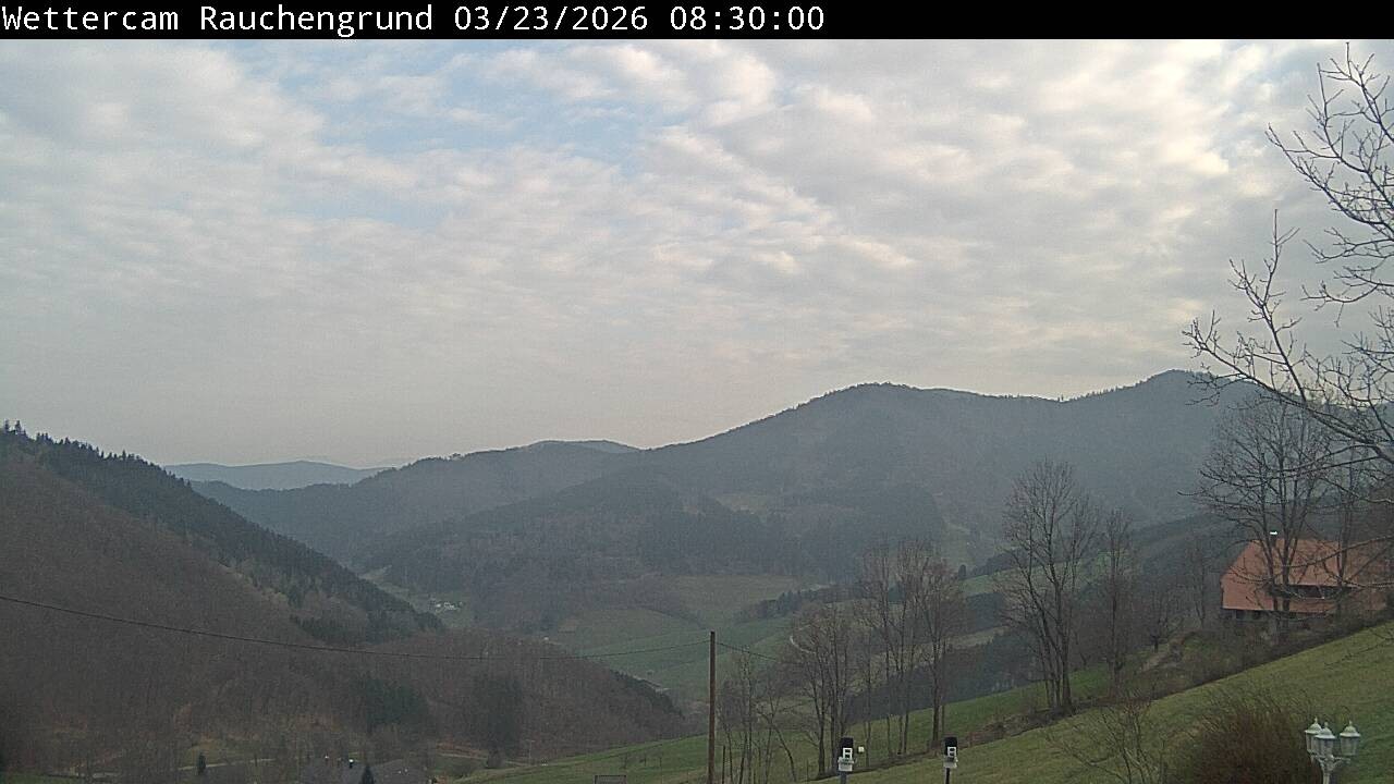 Archiv Foto Webcam Elzach