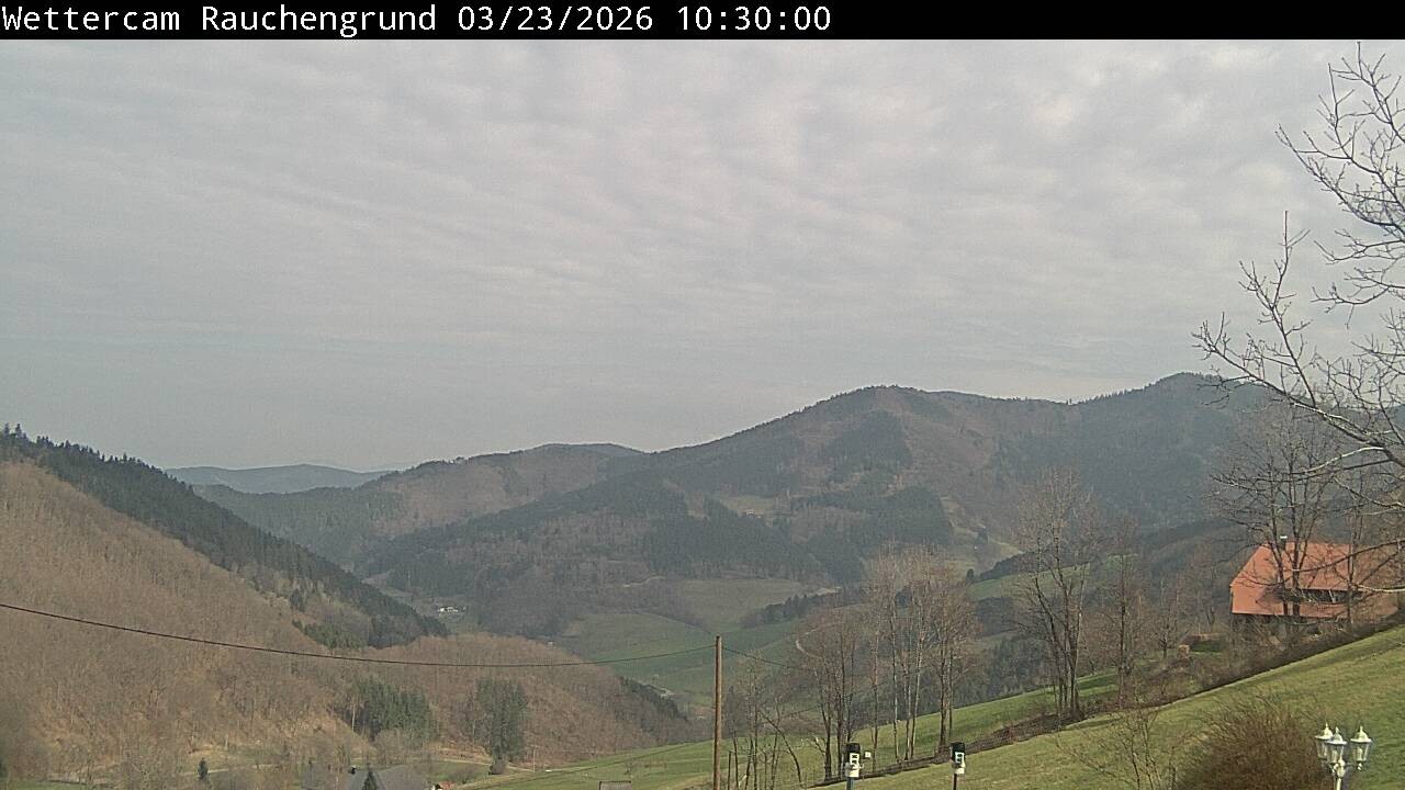 Archiv Foto Webcam Elzach