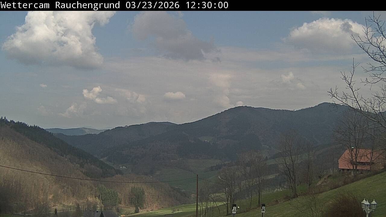 Archiv Foto Webcam Elzach