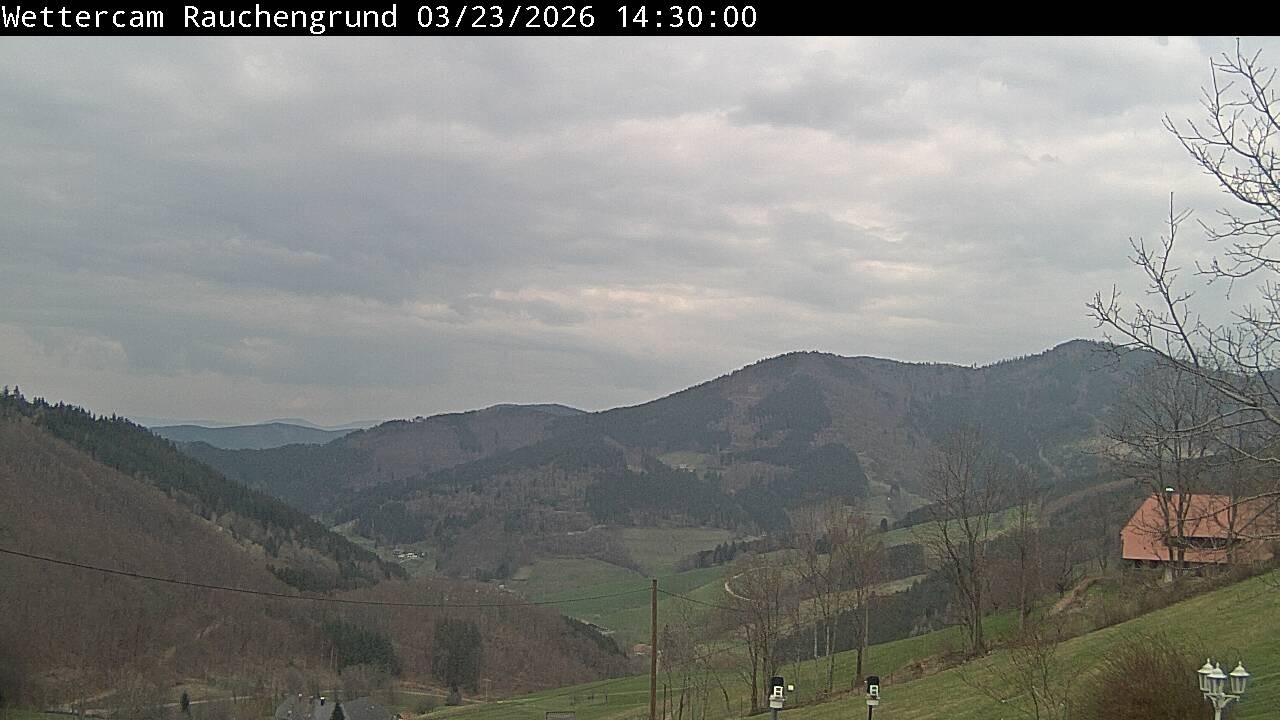 Archiv Foto Webcam Elzach