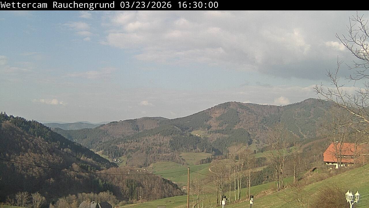 Archiv Foto Webcam Elzach
