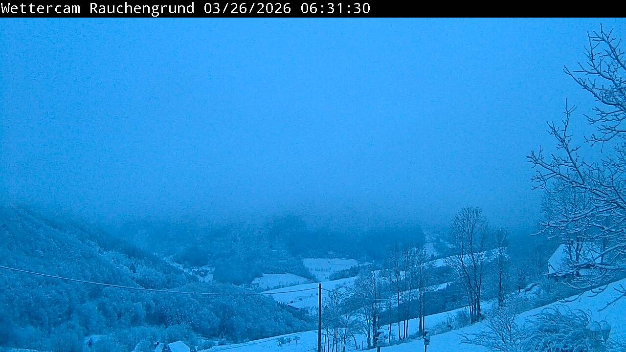 Archiv Foto Webcam Elzach