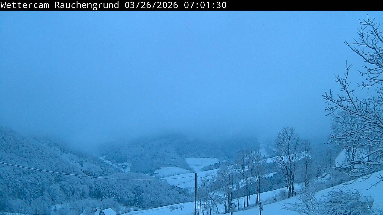 Archiv Foto Webcam Elzach