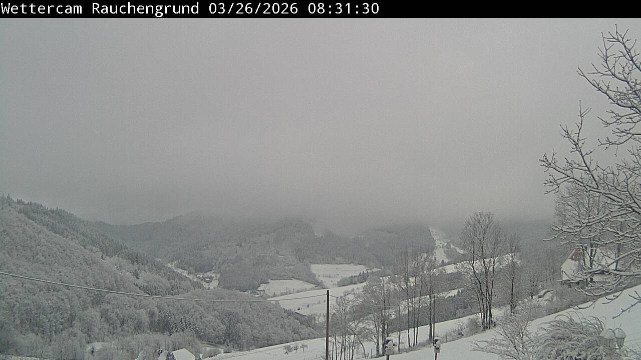 Archiv Foto Webcam Elzach