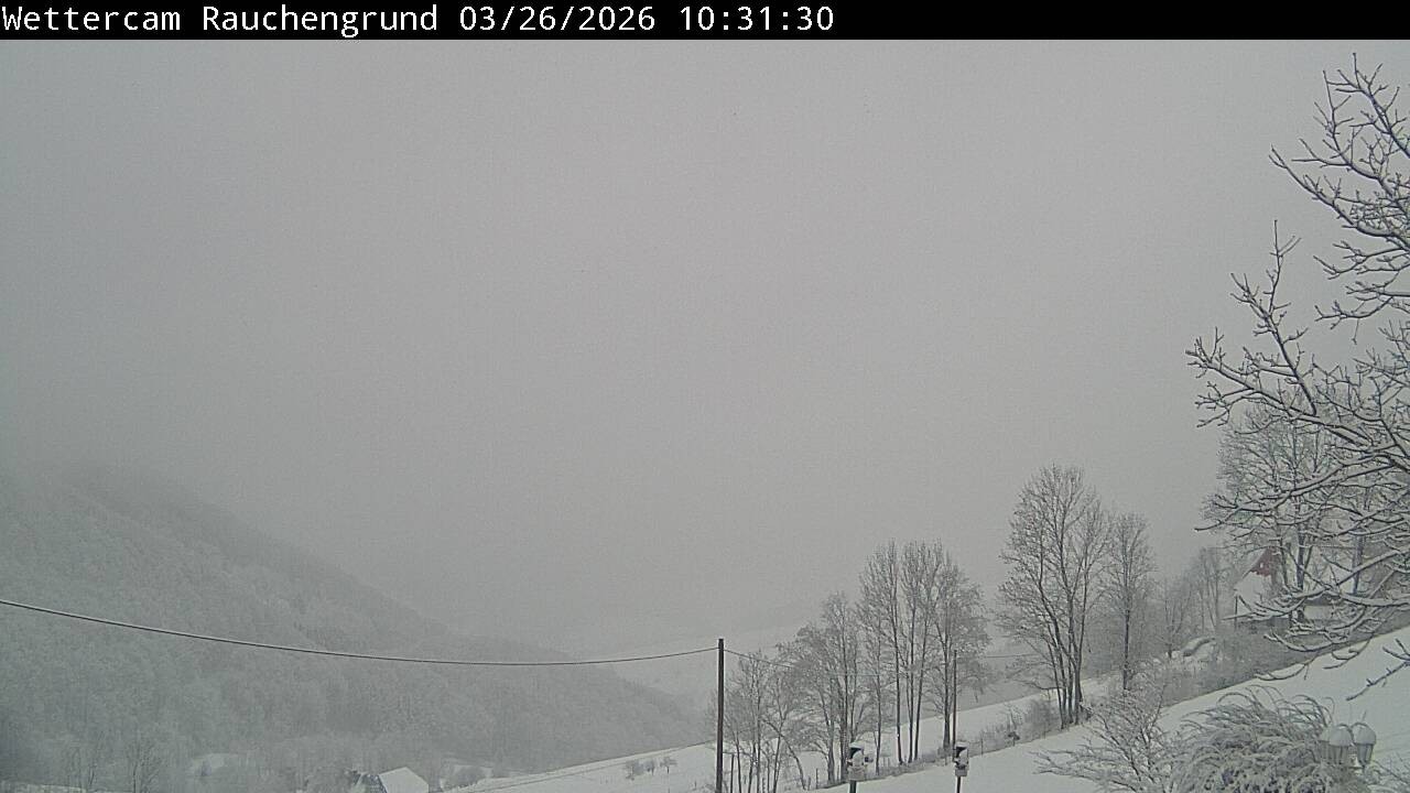 Archiv Foto Webcam Elzach