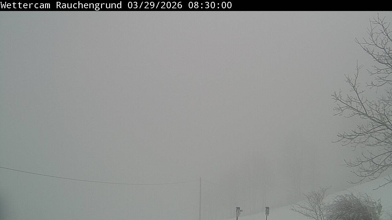 Archiv Foto Webcam Elzach