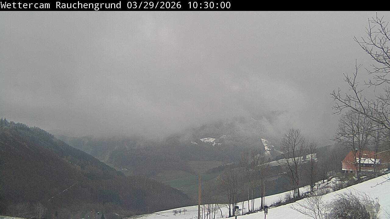 Archiv Foto Webcam Elzach