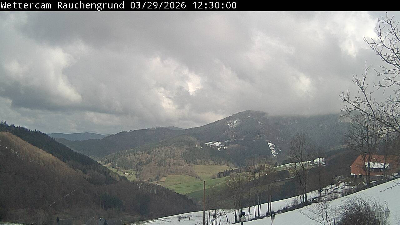 Archiv Foto Webcam Elzach