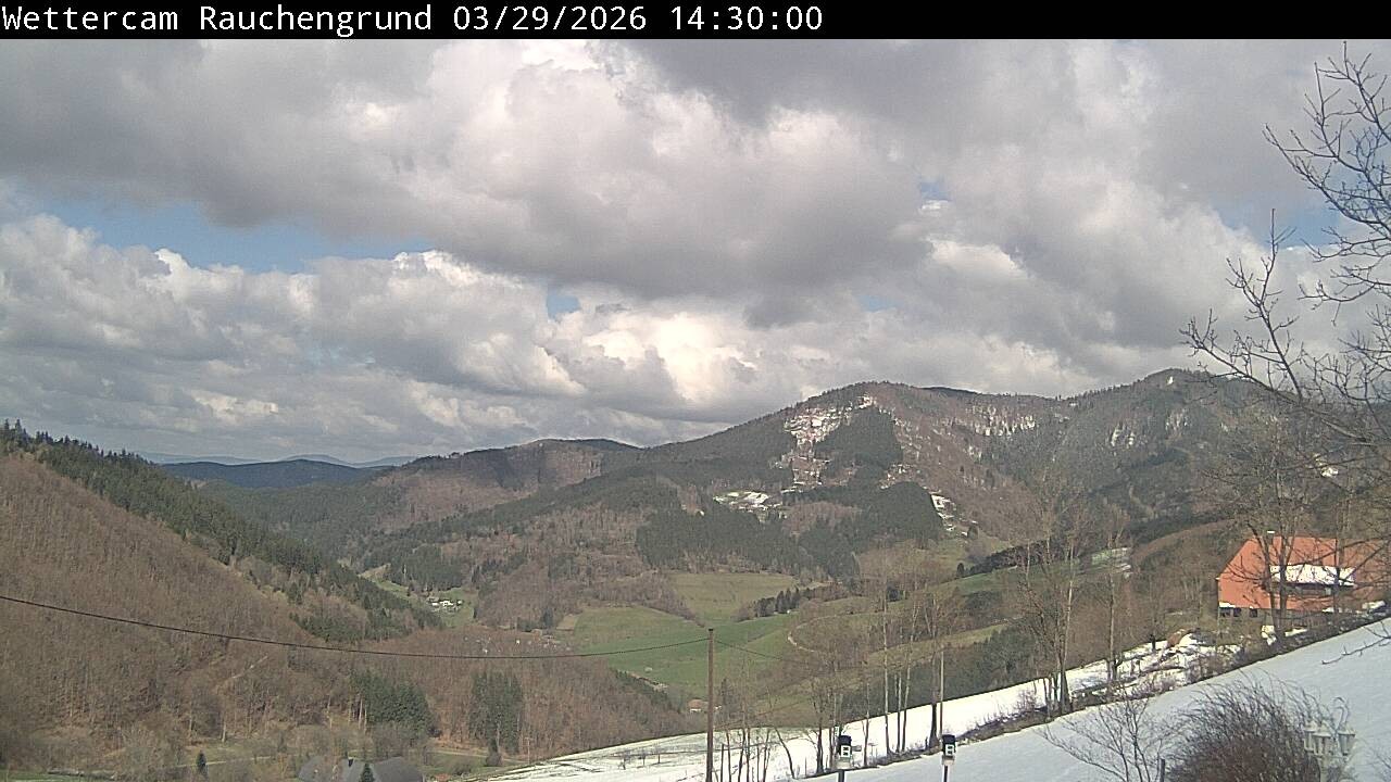Archiv Foto Webcam Elzach
