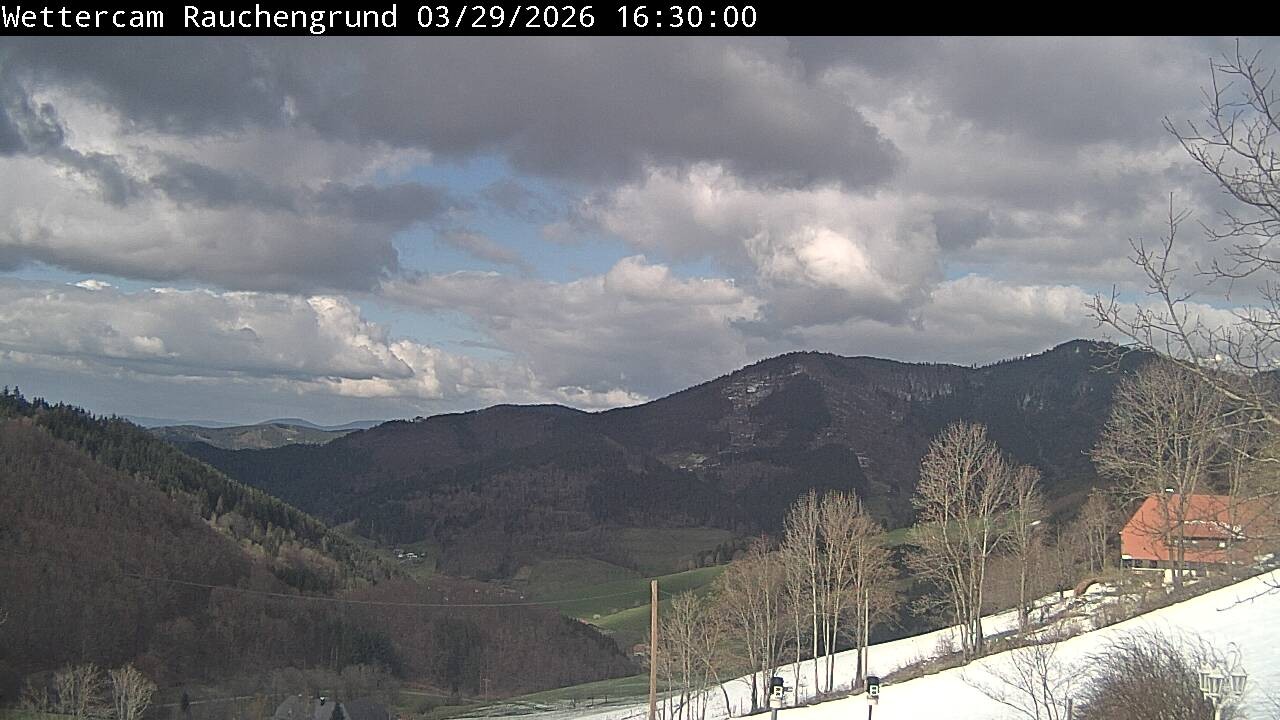 Archiv Foto Webcam Elzach