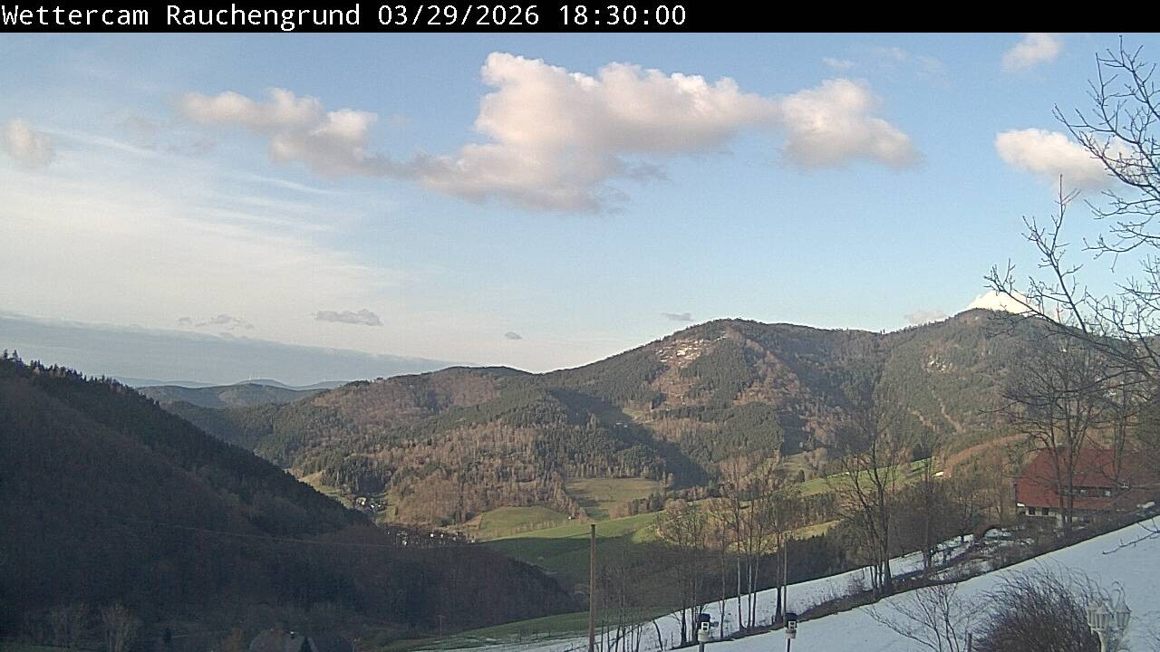 Archiv Foto Webcam Elzach