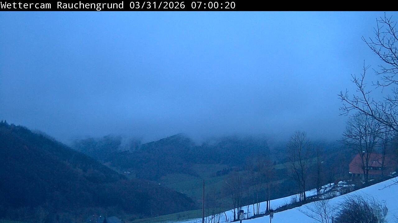 Archiv Foto Webcam Elzach