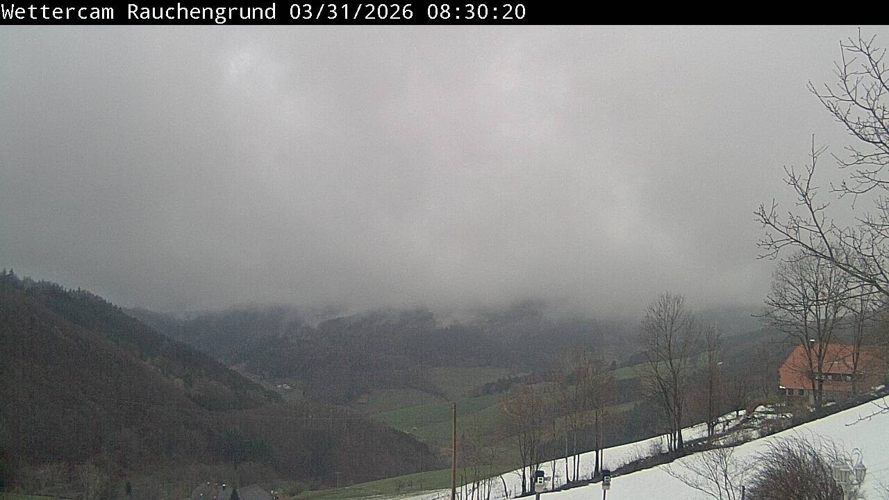 Archiv Foto Webcam Elzach