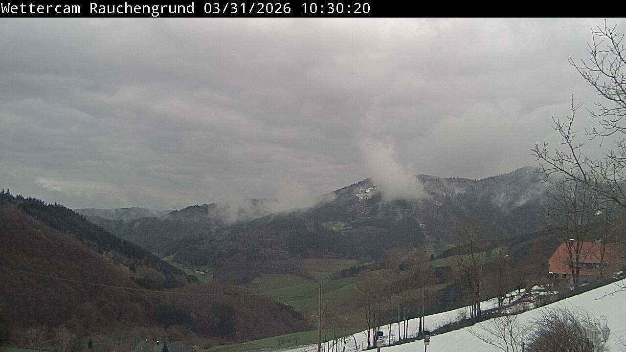 Archiv Foto Webcam Elzach