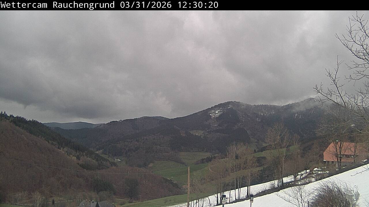 Archiv Foto Webcam Elzach
