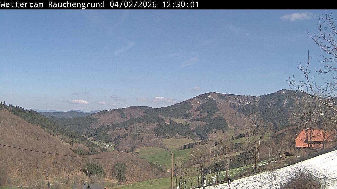 Archived image Webcam "Rauchengrund"