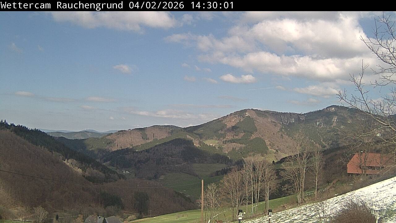 Archived image Webcam "Rauchengrund"