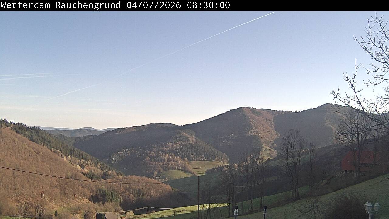 Archiv Foto Webcam Elzach