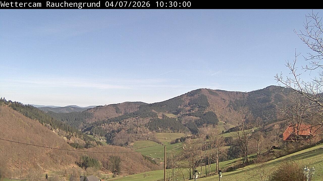 Archiv Foto Webcam Elzach