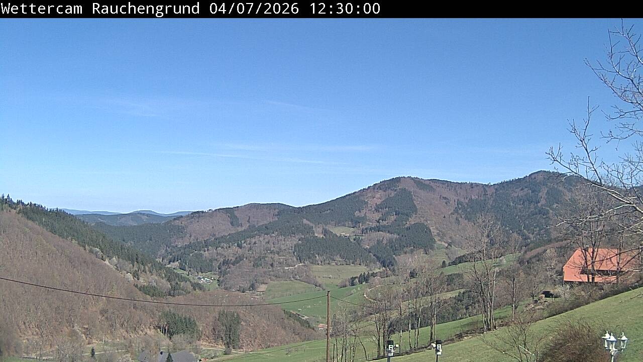 Archiv Foto Webcam Elzach