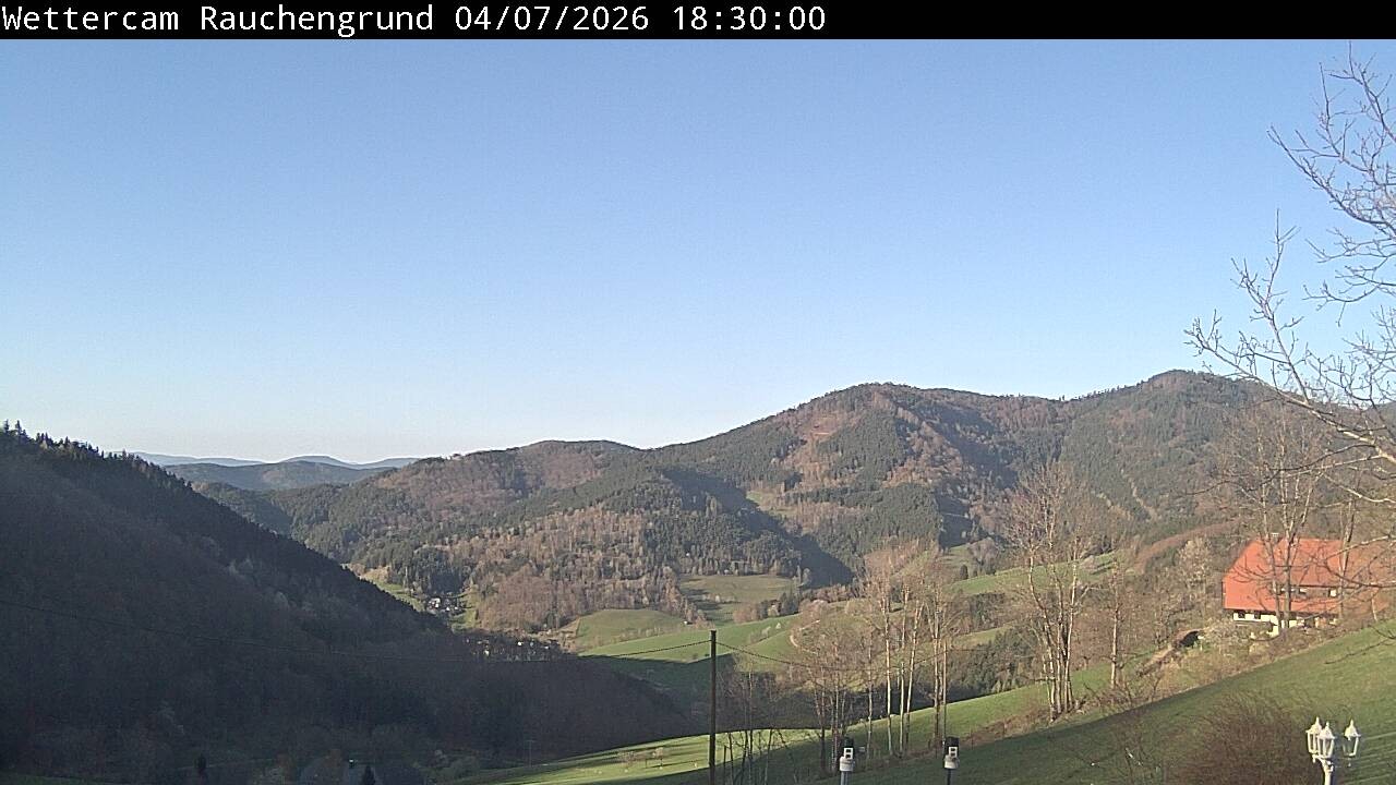 Archiv Foto Webcam Elzach