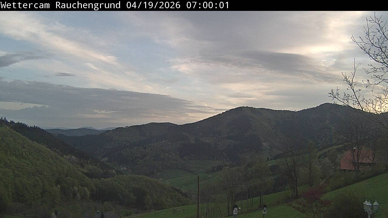 Archived image Webcam "Rauchengrund"