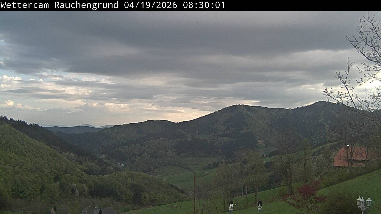 Archived image Webcam "Rauchengrund"