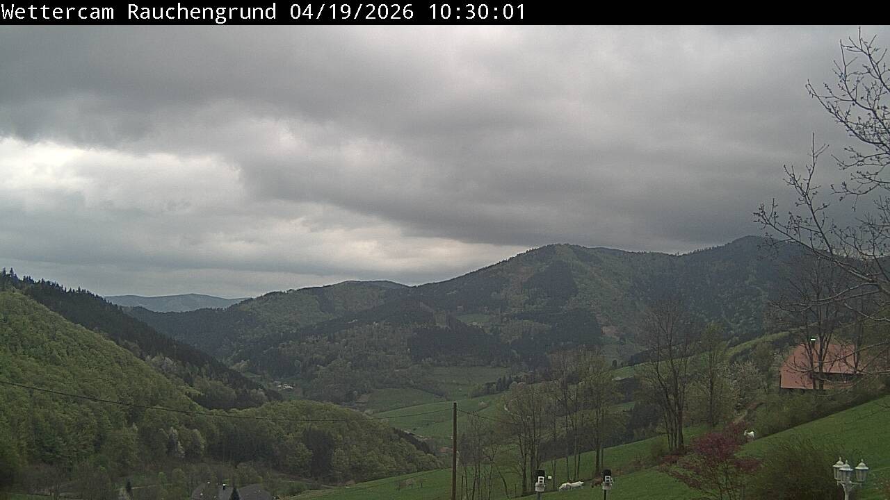 Archived image Webcam "Rauchengrund"