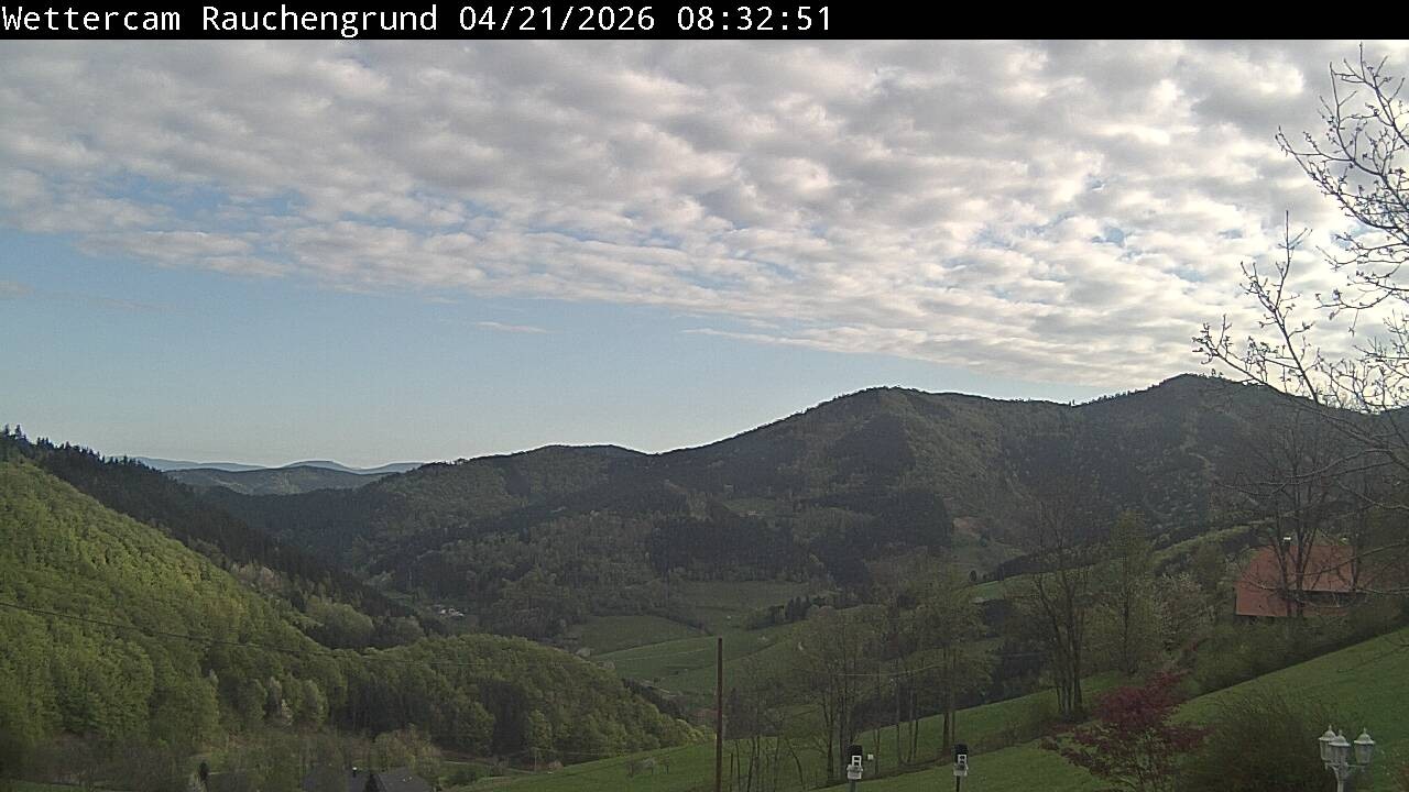 Archived image Webcam "Rauchengrund"