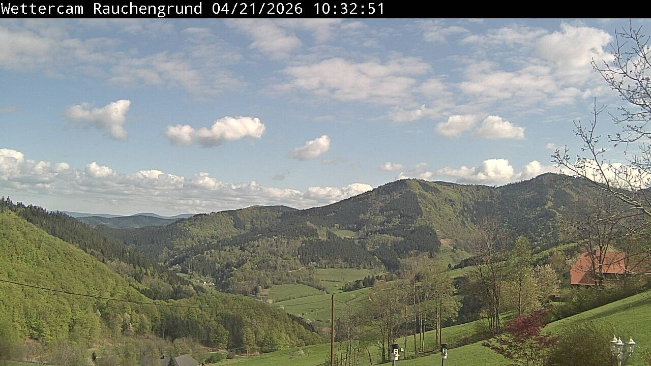 Archived image Webcam "Rauchengrund"