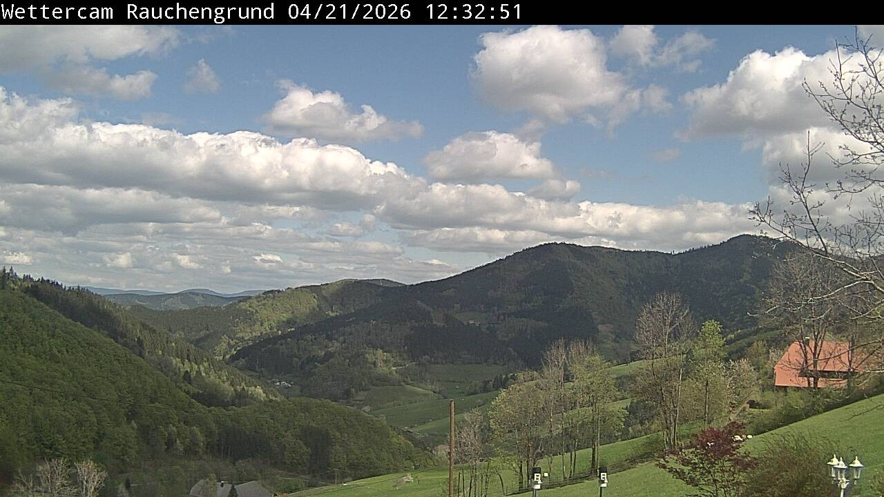 Archived image Webcam "Rauchengrund"