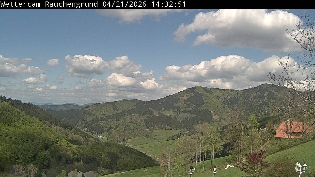 Archived image Webcam "Rauchengrund"